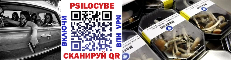где найти   Кинель  Галлюциногенные грибы Cubensis 