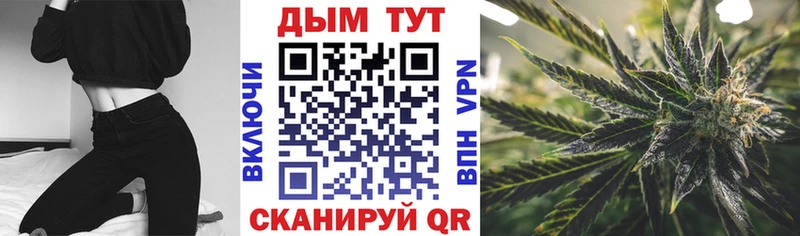 Канабис семена  Кинель 